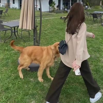 鬼屋之影